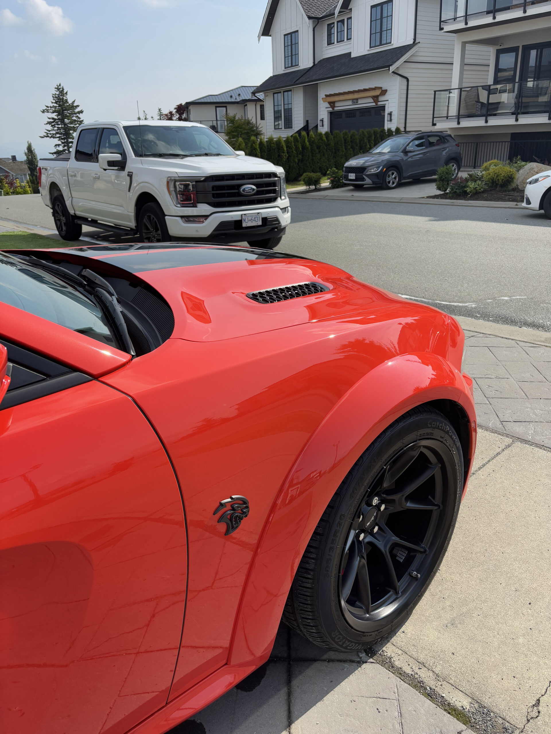 Paint Correction