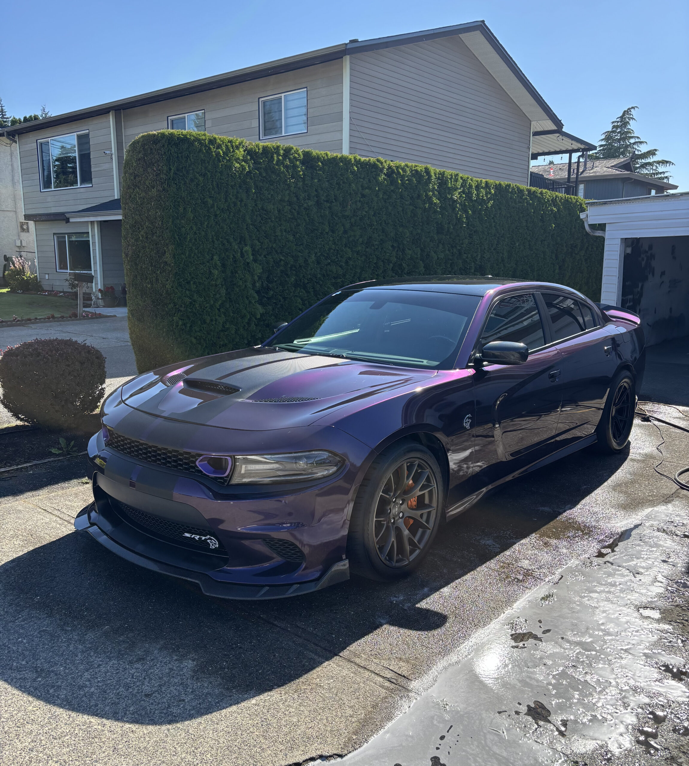 Detailing Packages